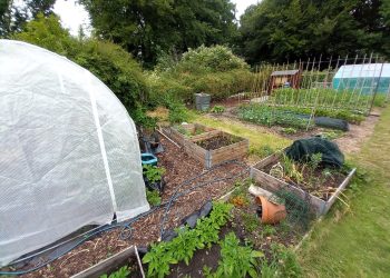 Allotment