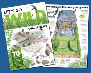 Image of the Let's Go Wild leaflet
