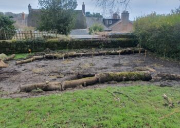 New hedge planting to provide privacy to neighbours