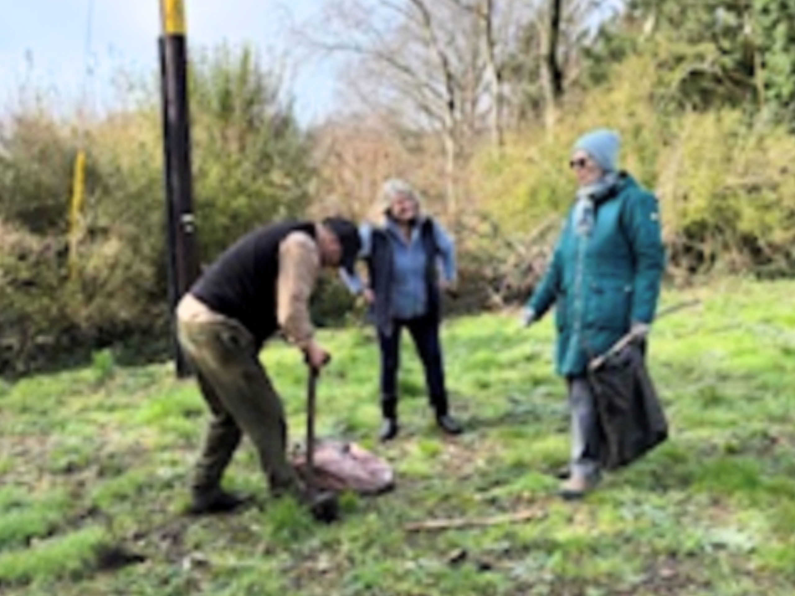 Residents planting trees at Chubb's House in Shaftesbury